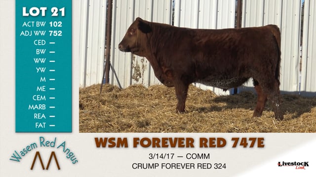 Lot #21 - WSM FOREVER RED 747E
