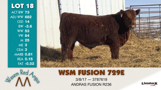 Lot #18 - WSM FUSION 729E