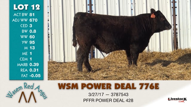 Lot #12 - WSM POWER DEAL 776E