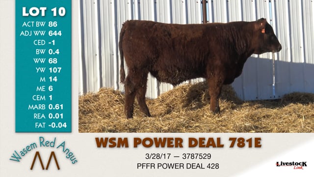 Lot #10 - WSM POWER DEAL 781E