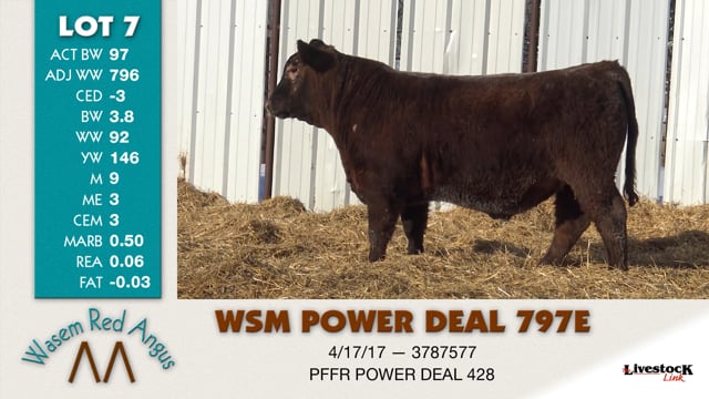 Lot #7 - WSM POWER DEAL 797E