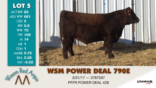 Lot #5 - WSM POWER DEAL 790E