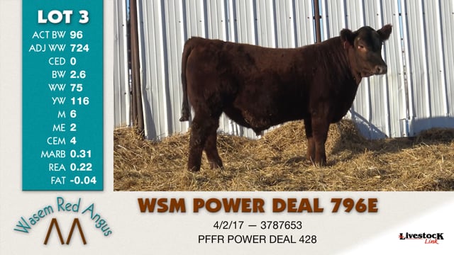 Lot #3 - WSM POWER DEAL 796E