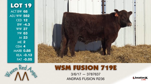 Lot #19 - WSM FUSION 719E