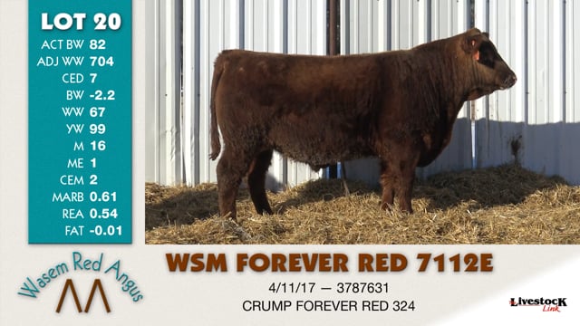 Lot #20 - WSM FOREVER RED 7112E