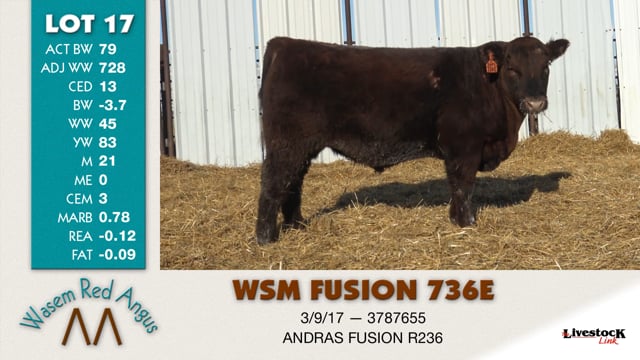 Lot #17 - WSM FUSION 736E