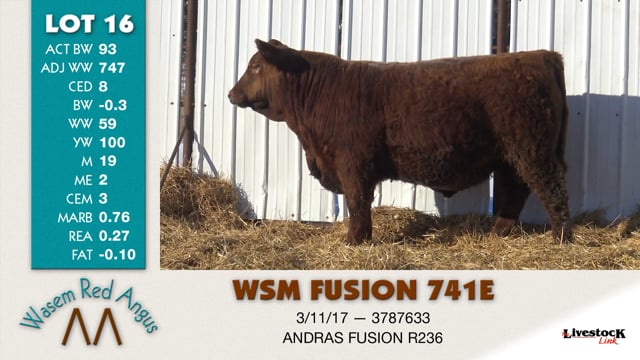 Lot #16 - WSM FUSION 741E