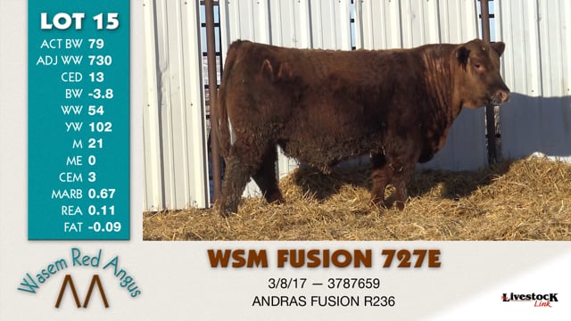 Lot #15 - WSM FUSION 727E