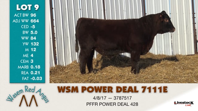 Lot #9 - WSM POWER DEAL 7111E