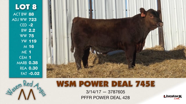 Lot #8 - WSM POWER DEAL 745E