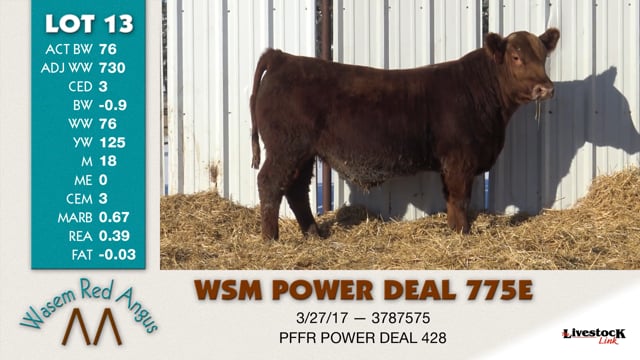 Lot #13 - WSM POWER DEAL 775E