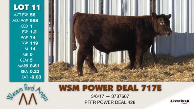Lot #11 - WSM POWER DEAL 717E