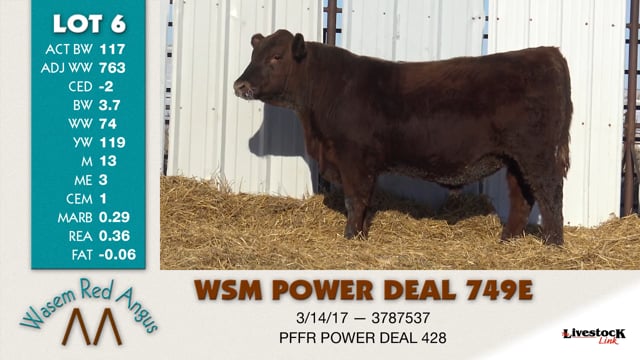 Lot #6 - WSM POWER DEAL 749E