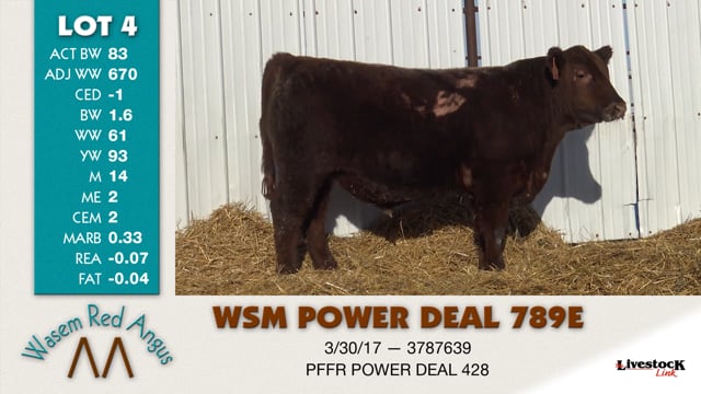Lot #4 - WSM POWER DEAL 789E