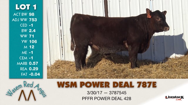 Lot #1 - WSM POWER DEAL 787E