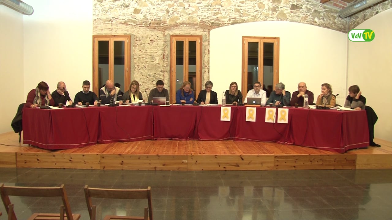 Ple municipal 25 de gener de 2018 - Punt 2