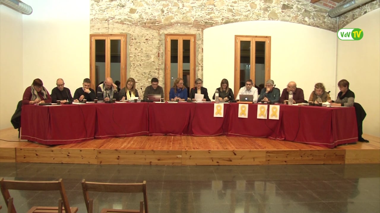 Ple municipal 25 de gener de 2018 - Punt 3