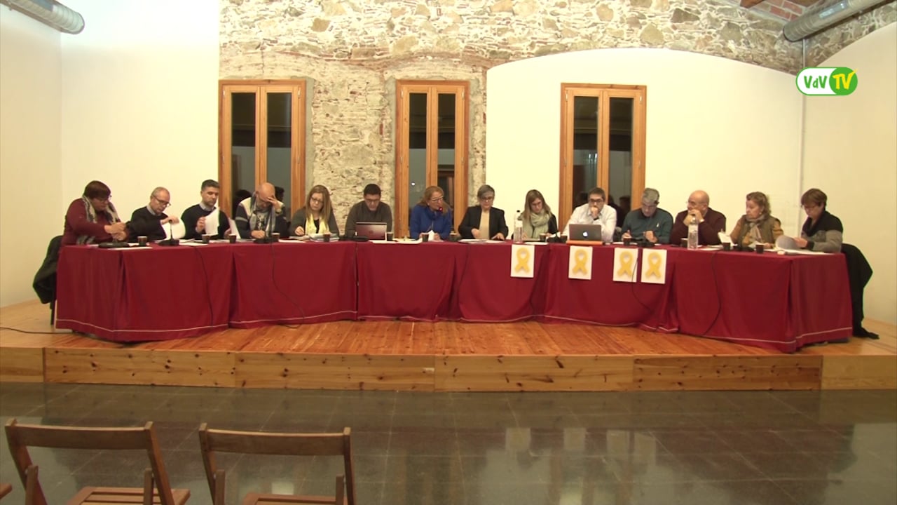 Ple municipal 25 de gener de 2018 - Punt 5