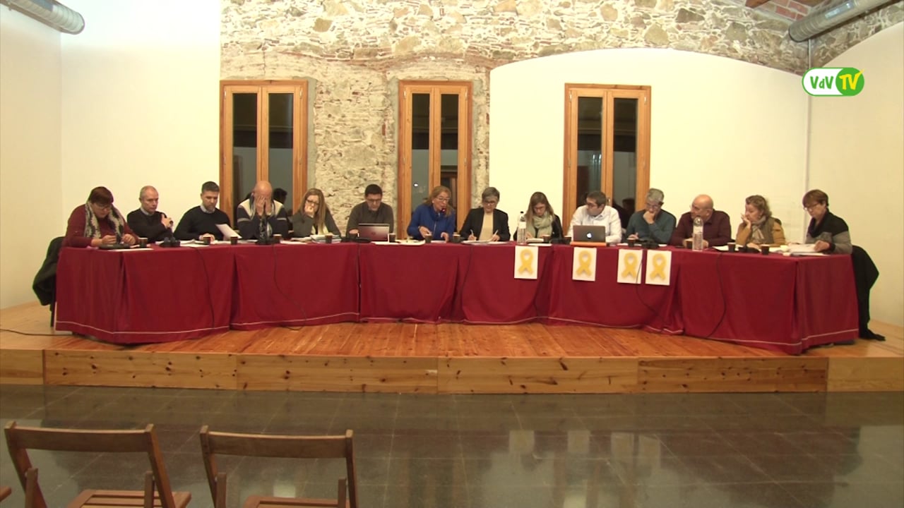 Ple municipal 25 de gener de 2018 - Punt 4