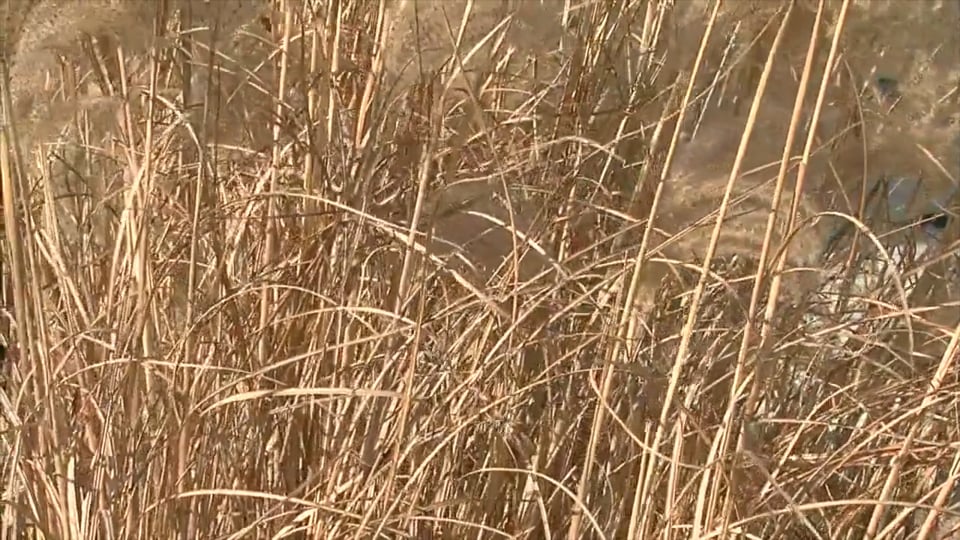 Tips from Toby Winter Outdoor Quick Tips