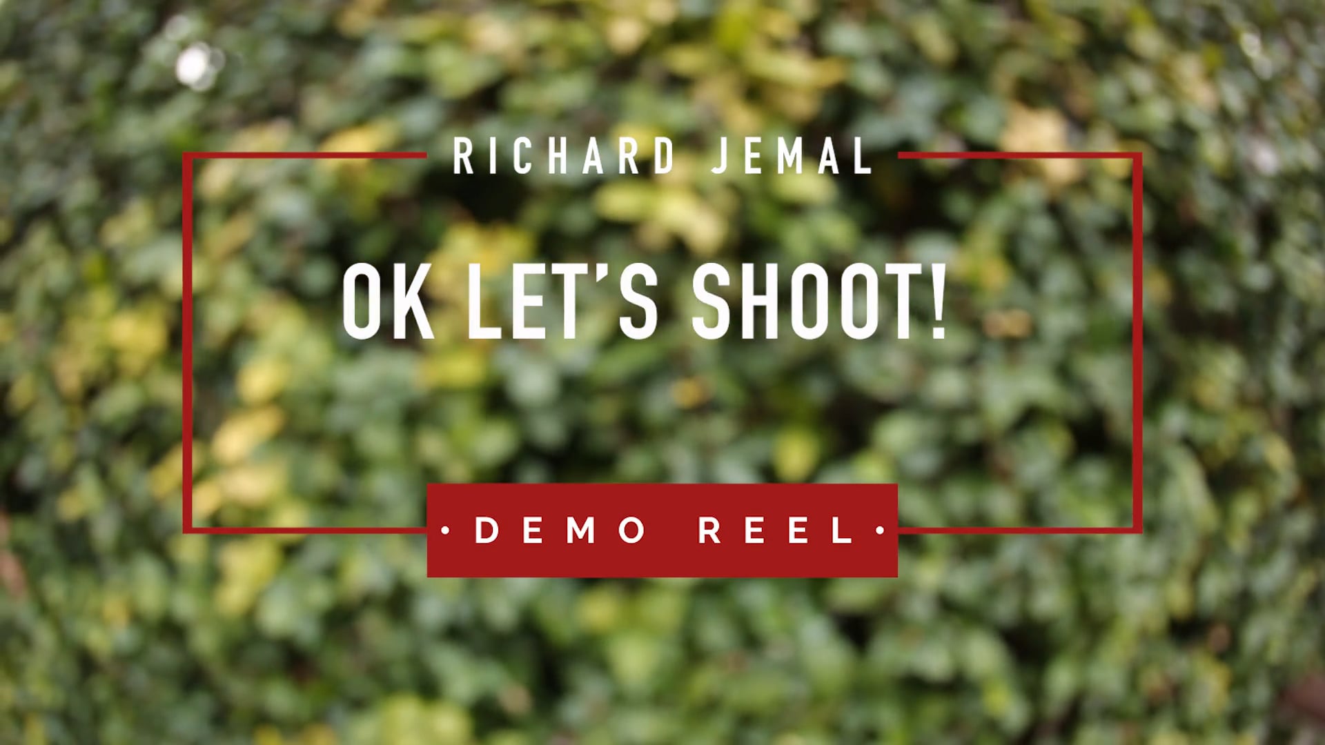 Ok Let's Shoot: Demo Reel