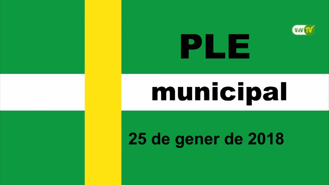 Ple municipal 25 de gener de 2018 - Punt 1