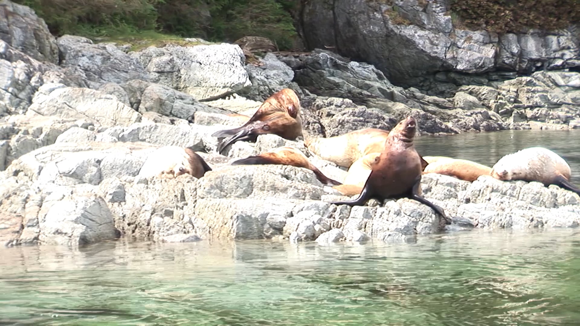 Promotional video thumbnail 1 for Topside ProMedia