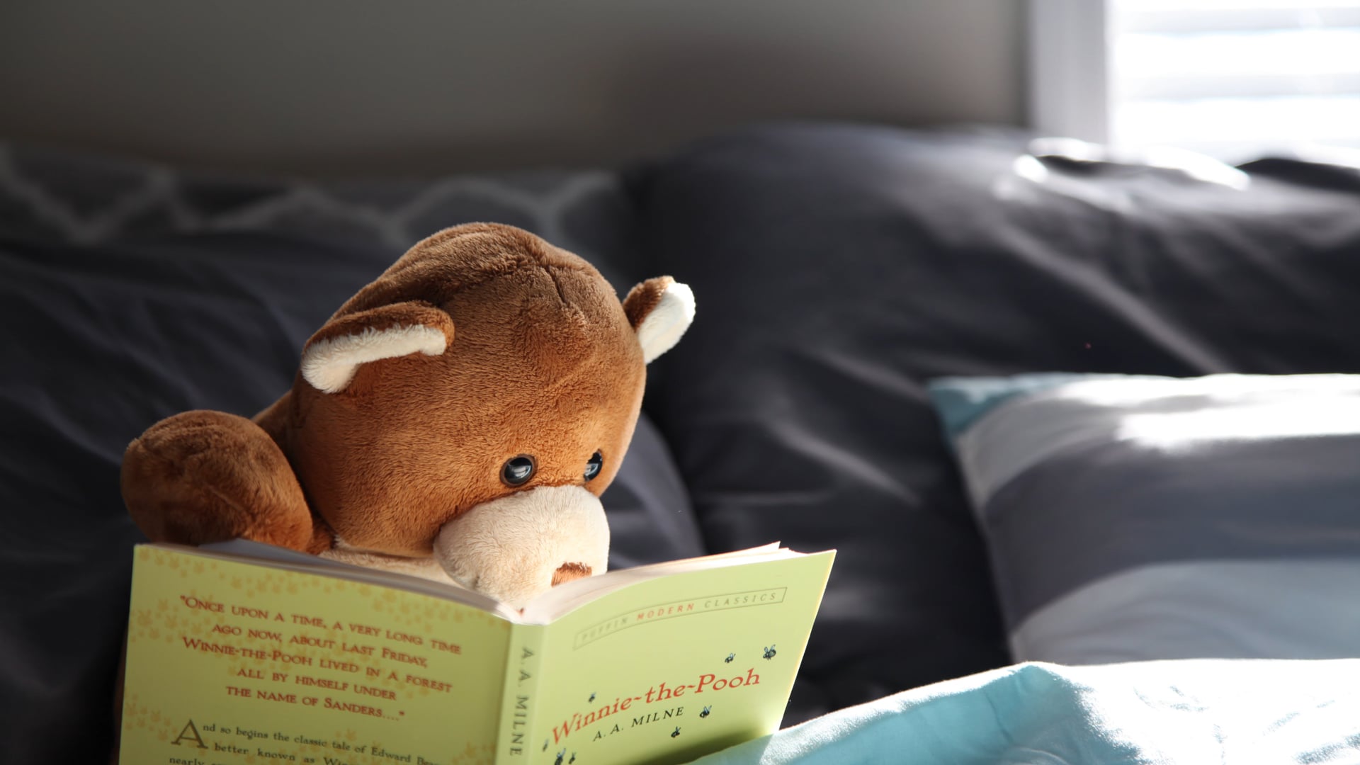 And So the Adventure Begins