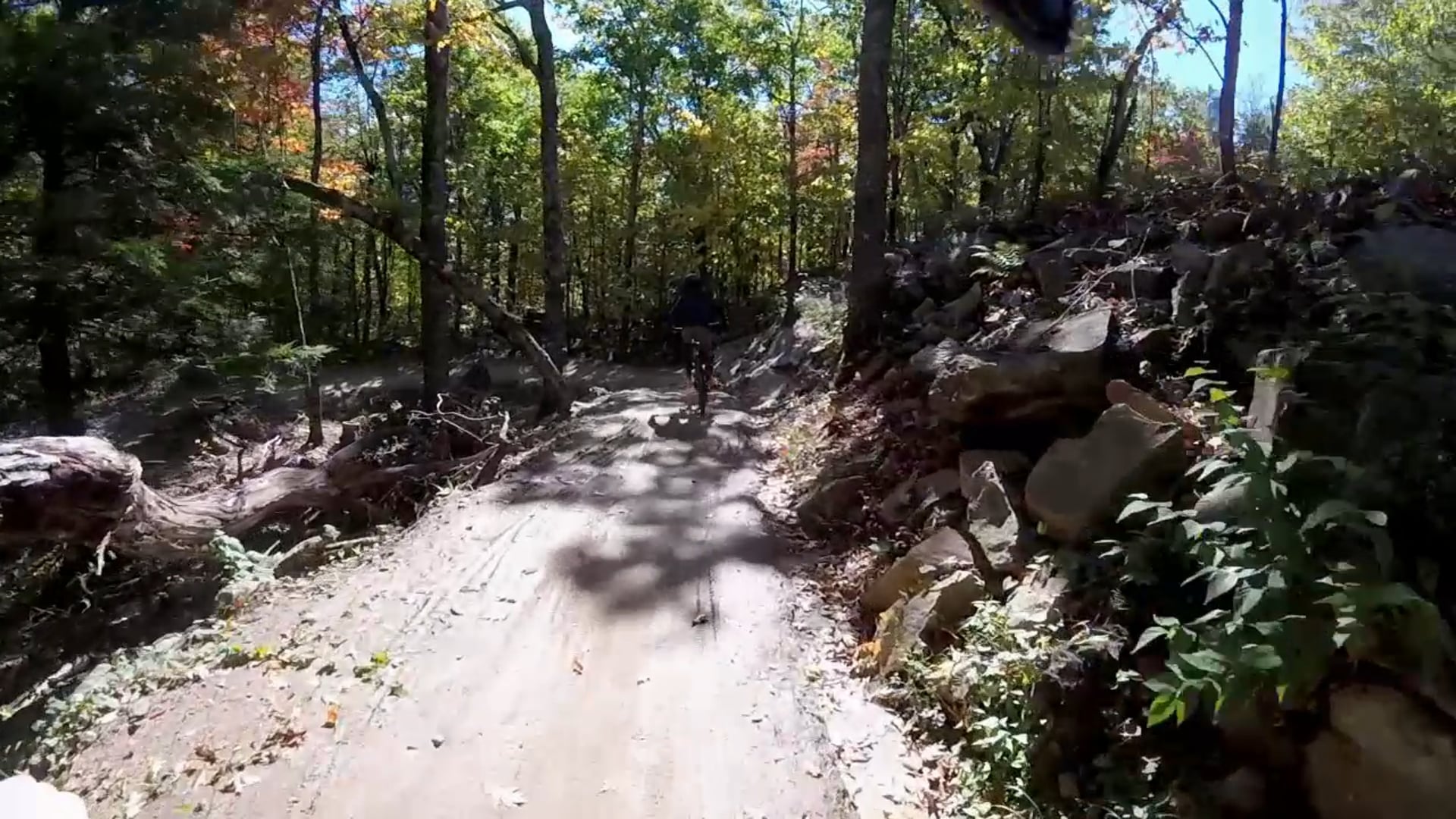 Highland Mountain Biking