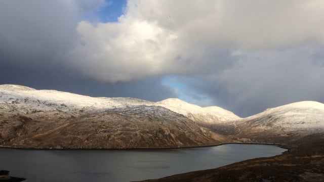 White-tailed Eagle, Outer Hebrides (Scotland)