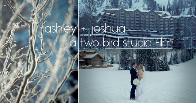 Ashley + Joshua : Wedding