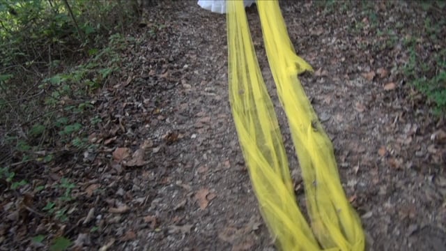 Related Embedded Video Item Thumbnail