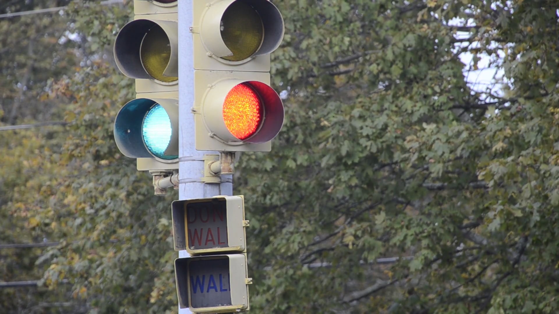 Dignity & Connection