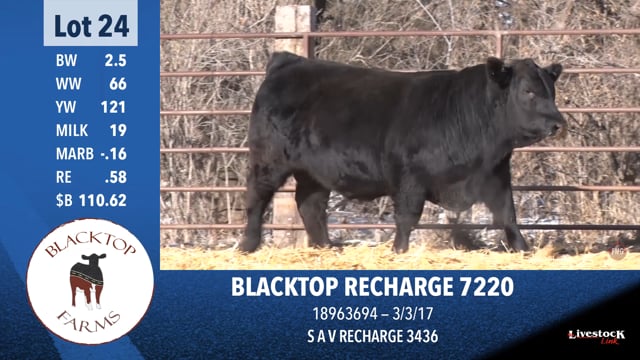 Lot #24 - BLACKTOP RECHARGE 7220