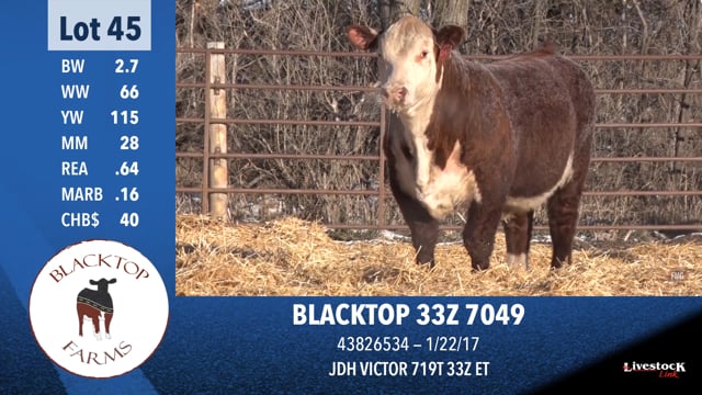 Lot #45 - BLACKTOP 33Z 7049