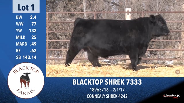 Lot #1 - BLACKTOP SHREK 7333