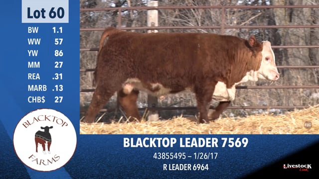 Lot #60 - BLACKTOP LEADER 7569