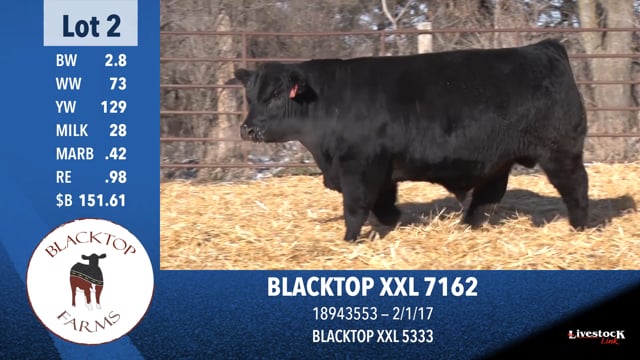 Lot #2 - BLACKTOP XXL 7162