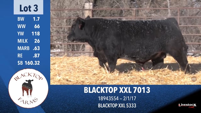 Lot #3 - BLACKTOP XXL 7013