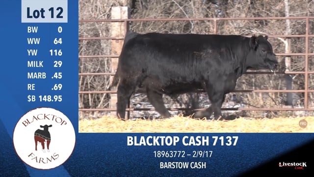 Lot #12 - BLACKTOP CASH 7137