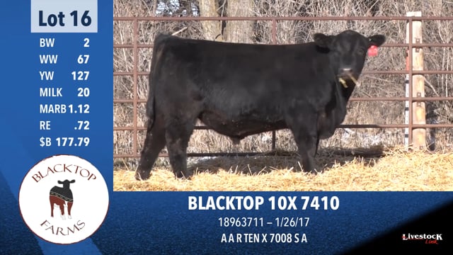 Lot #16 - BLACKTOP 10X 7410