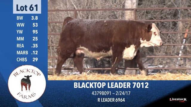 Lot #61 - BLACKTOP LEADER 7012