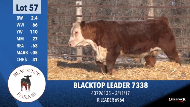 Lot #57 - BLACKTOP LEADER 7338