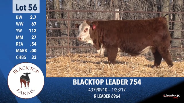 Lot #56 - BLACKTOP LEADER 754