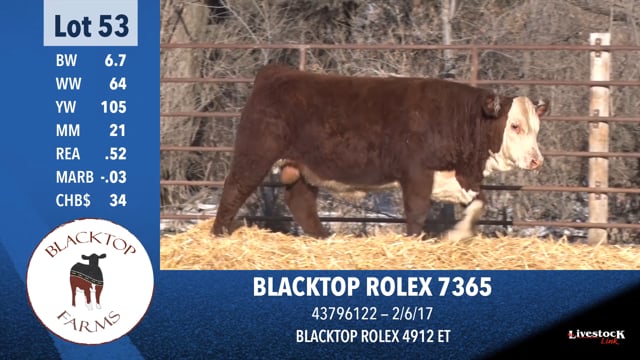 Lot #53 - * OUT * BLACKTOP ROLEX 7365