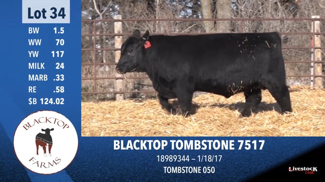 Lot #34 - BLACKTOP TOMBSTONE 7517