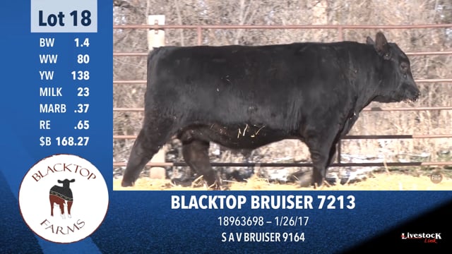 Lot #18 - BLACKTOP BRUISER 7213