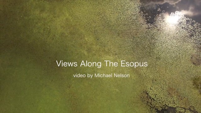 Saugerties from the Esopus