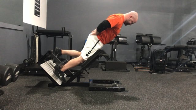 hip thrust muscles worked reddit