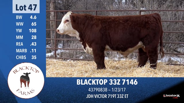 Lot #47 - BLACKTOP 33Z 7146